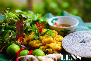 Độc đáo sứa lá dung ở miền biển phía Nam Hà Tĩnh