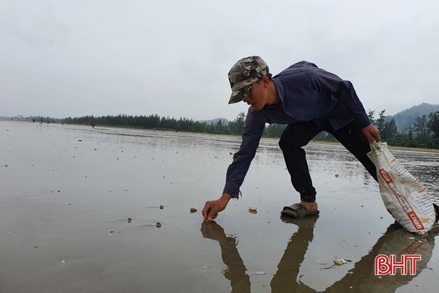 Người dân Lộc Hà “săn” nghêu biển sau mưa lớn