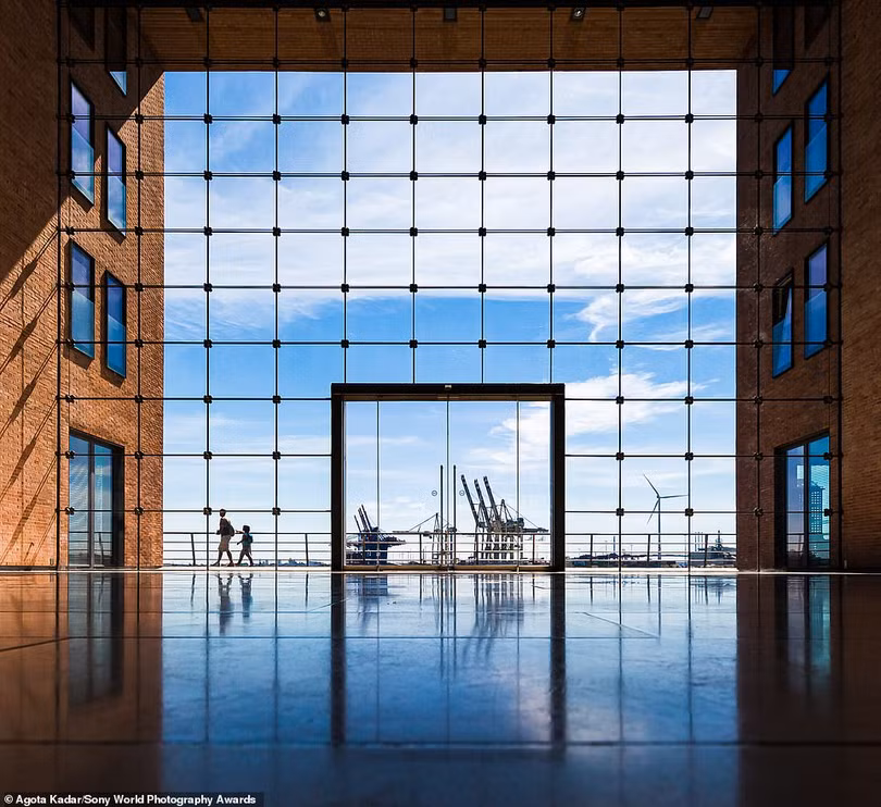 Mãn nhãn loạt ảnh đẹp dự thi giải Sony World Photography Awards 2021