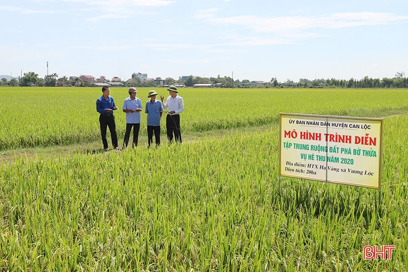 Nông dân Can Lộc lắp camera trên đồng ruộng để làm nông nghiệp sạch