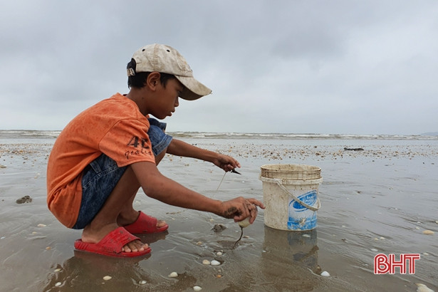 Người dân Lộc Hà “săn” nghêu biển sau mưa lớn