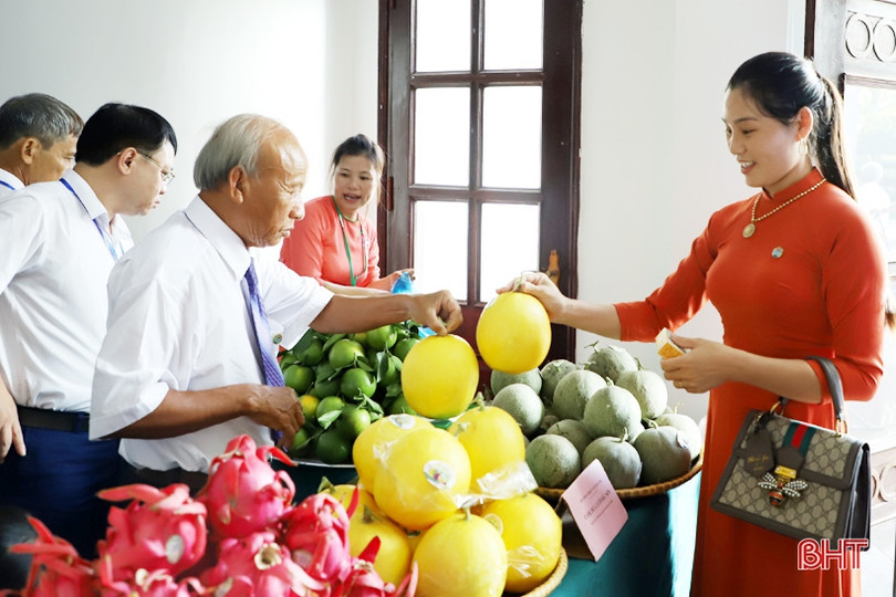 Ấn tượng gian hàng sản phẩm OCOP bên lề Đại hội Liên minh Hợp tác xã Hà Tĩnh