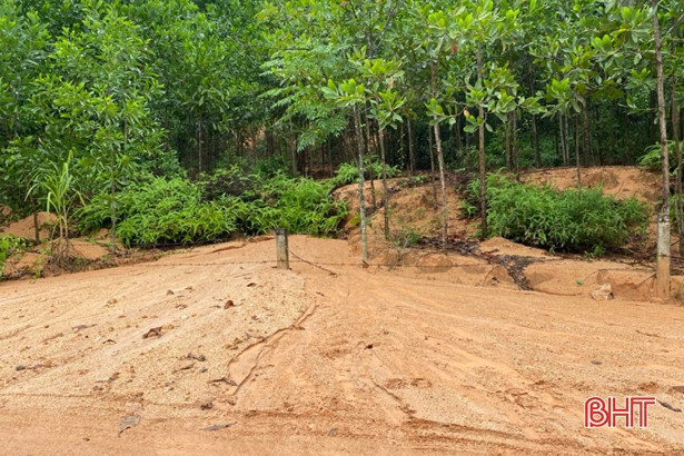 Mưa lớn khiến nhiều điểm ở Vũ Quang sạt lở nghiêm trọng