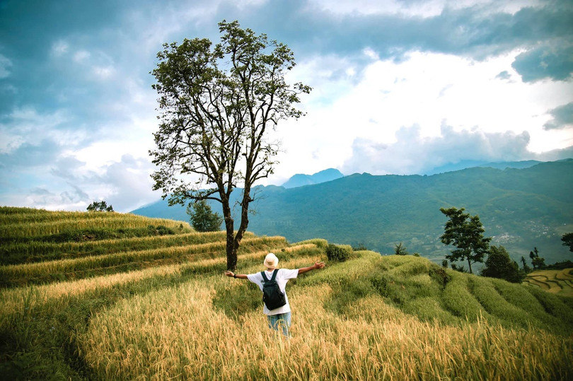 Y Tý mùa lúa chín vàng