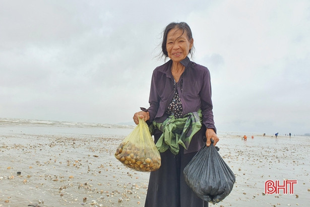 Người dân Lộc Hà “săn” nghêu biển sau mưa lớn