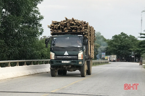 Xe chở gỗ keo cồng kềnh “uy hiếp” người đi đường ở huyện miền núi Hà Tĩnh