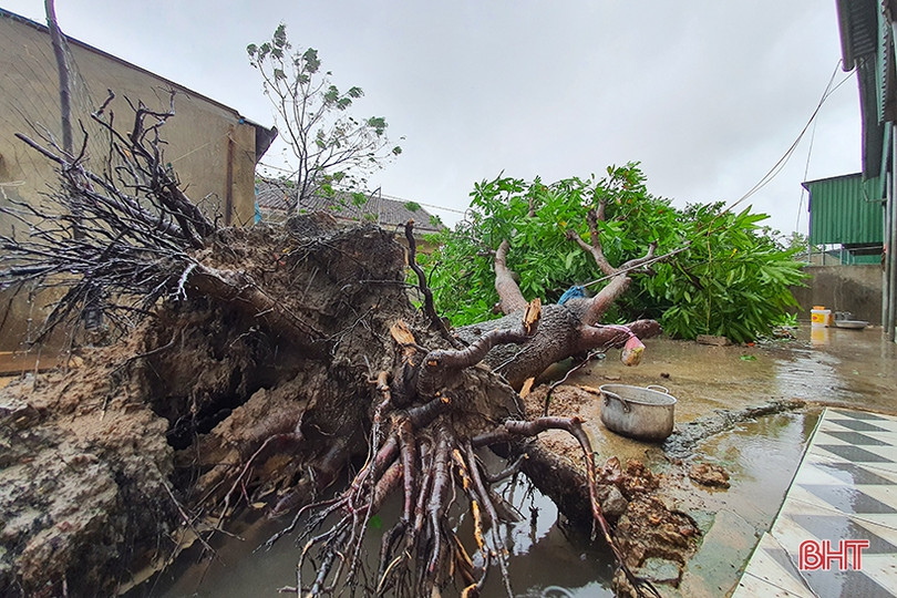 Lốc “quét” 2 phút, gãy cột viễn thông, 93 nhà dân tốc mái ở xã biển Hà Tĩnh