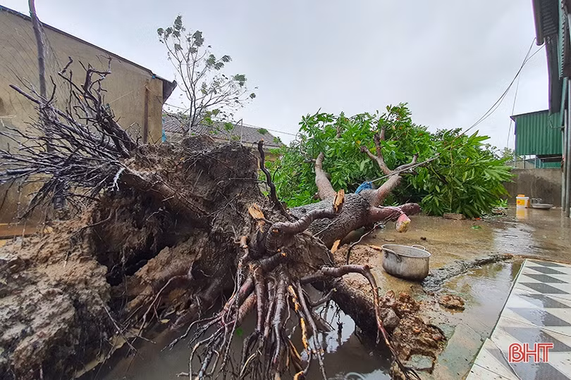 Lốc “quét” 2 phút, gãy cột viễn thông, 93 nhà dân tốc mái ở xã biển Hà Tĩnh