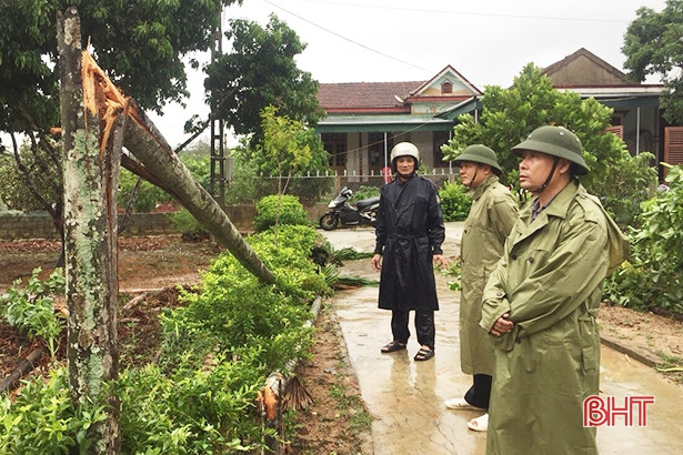 Mưa lớn kèm lốc xoáy khiến 21 hộ dân ở Thạch Hà bị tốc mái, gần 20 ha rau màu bị ngập