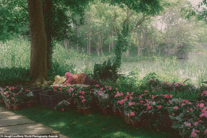 Mãn nhãn loạt ảnh đẹp dự thi giải Sony World Photography Awards 2021