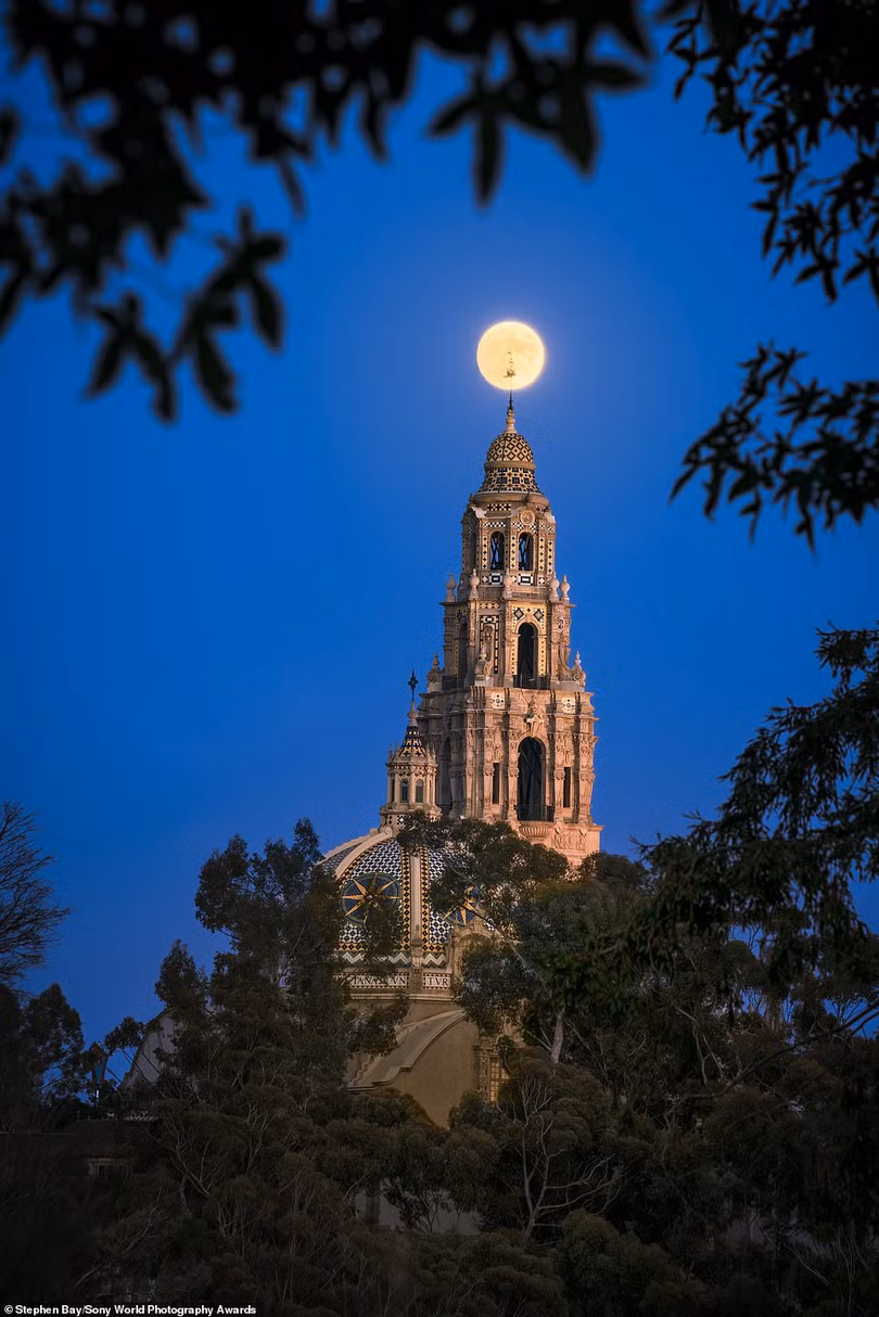 Mãn nhãn loạt ảnh đẹp dự thi giải Sony World Photography Awards 2021