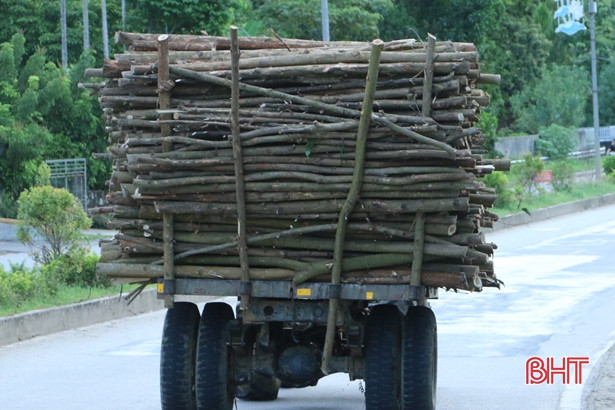 Xe chở gỗ keo cồng kềnh “uy hiếp” người đi đường ở huyện miền núi Hà Tĩnh