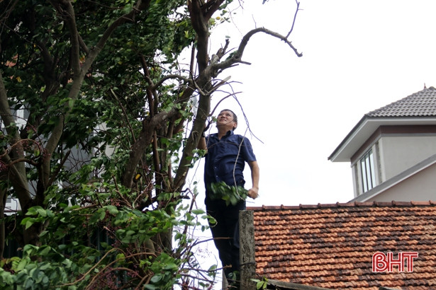 Ảnh hưởng bão số 5, nhiều nhà dân ở Nghi Xuân bị tốc mái, kè biển Lộc Hà sạt lở