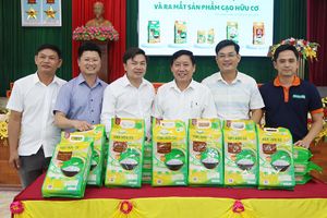 Địa phương đầu tiên ở Hà Tĩnh có sản phẩm lúa, gạo được cấp chứng nhận hữu cơ 