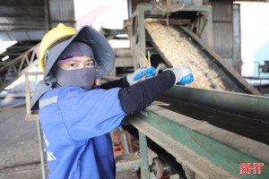 Căng thẳng thương mại Mỹ - Trung: Xuất khẩu dăm gỗ Hà Tĩnh gặp khó!