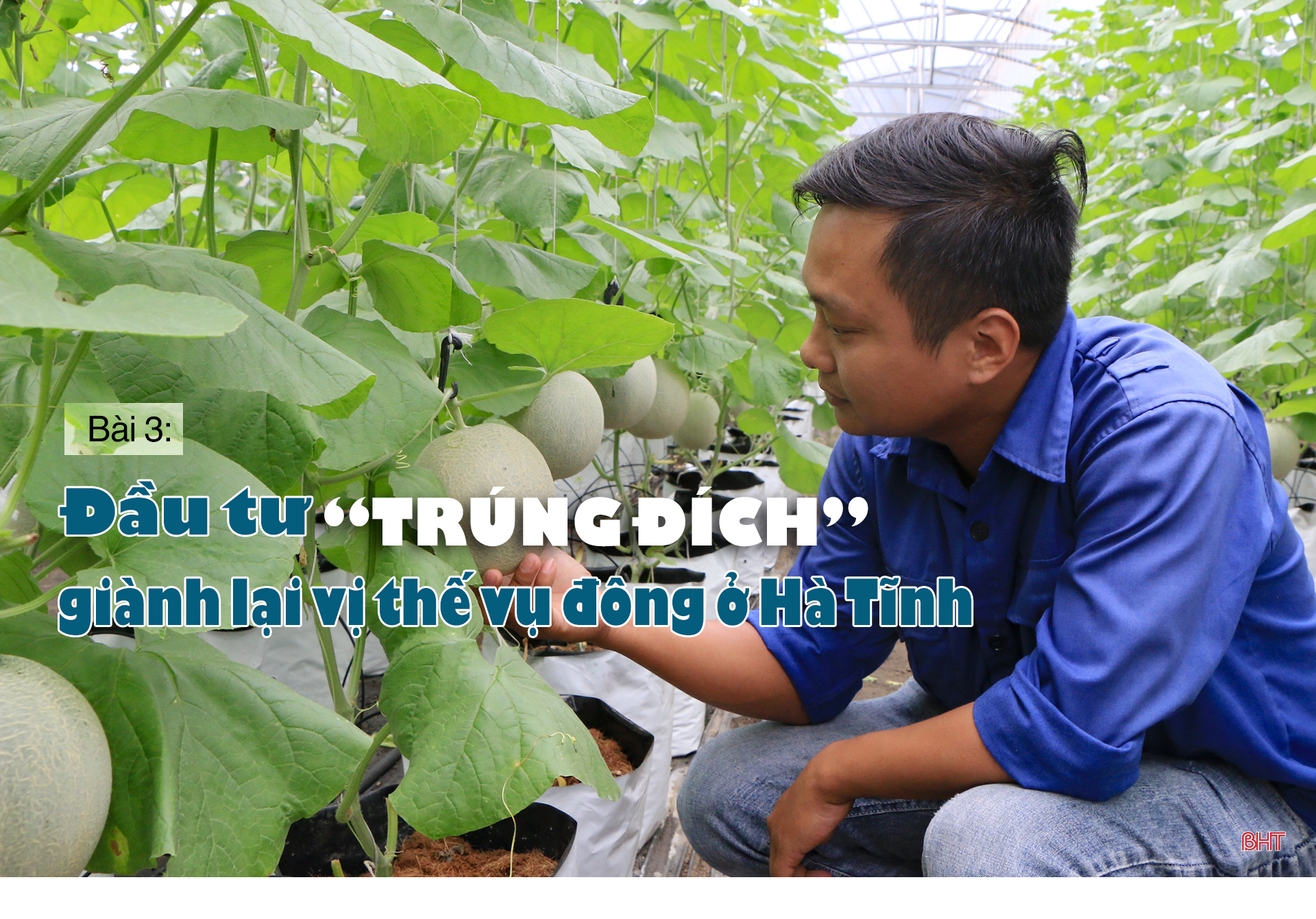 Vụ đông hàng hóa và những bước “giật lùi” (Bài 3): Đầu tư “trúng đích”, giành lại vị thế!