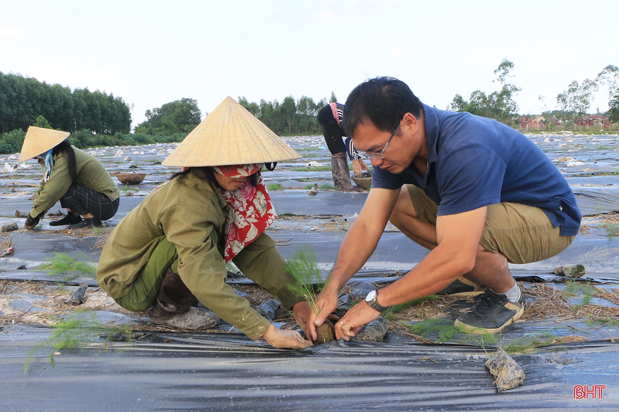 Vụ đông hàng hóa và những bước “giật lùi” (Bài 3): Đầu tư “trúng đích”, giành lại vị thế!