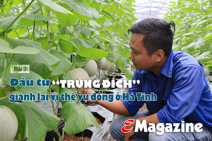 Vụ đông hàng hóa và những bước “giật lùi” (Bài 3): Đầu tư “trúng đích”, giành lại vị thế!