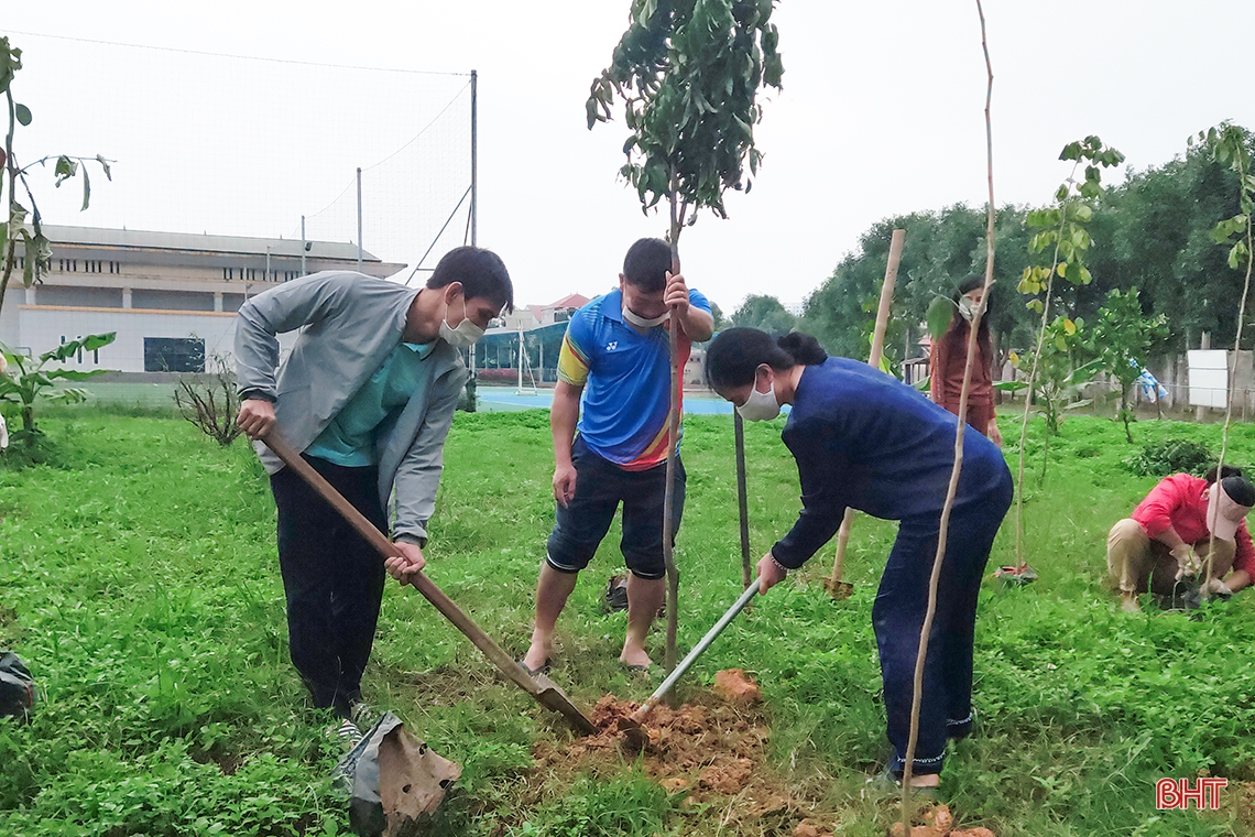 Lãnh đạo tỉnh tham gia trồng cây xanh tại thành phố Hà Tĩnh