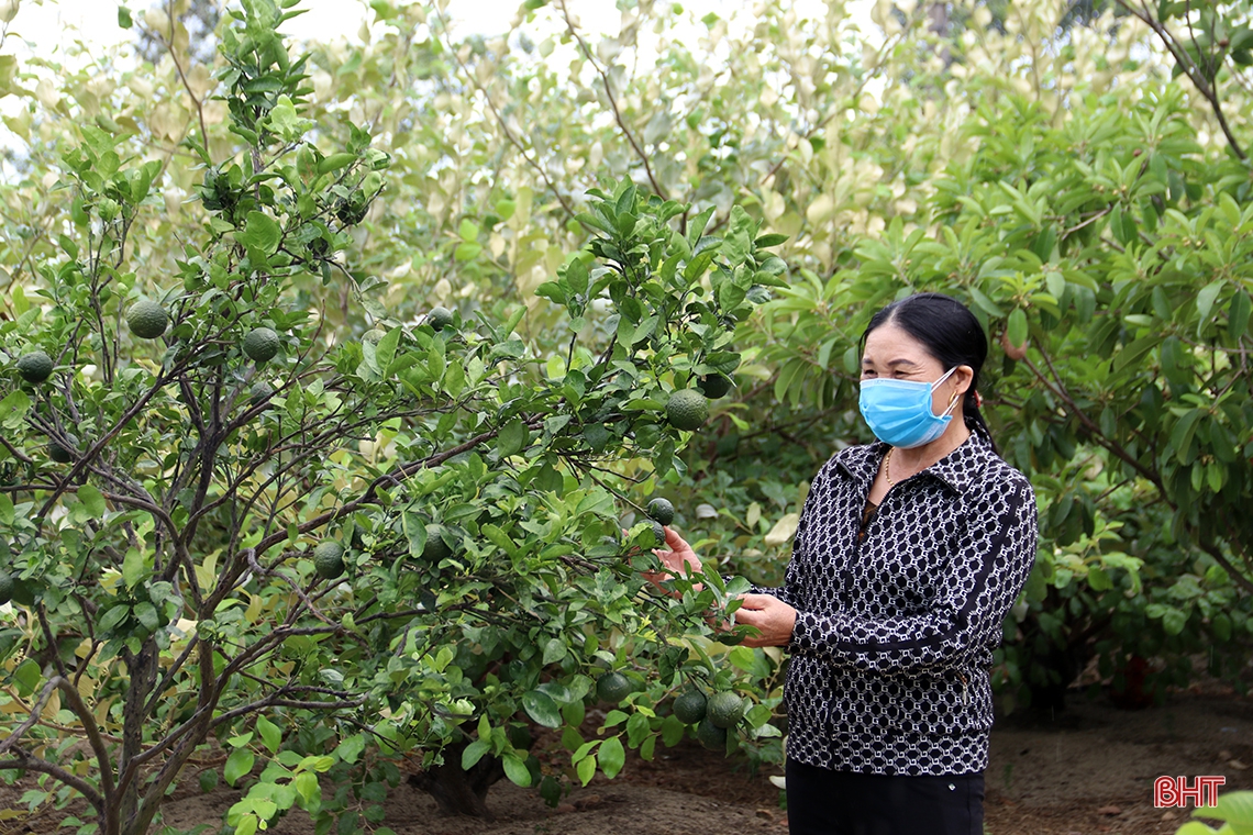 Nhân dân đồng lòng, xã vùng biển Hà Tĩnh tự tin đạt chuẩn NTM nâng cao