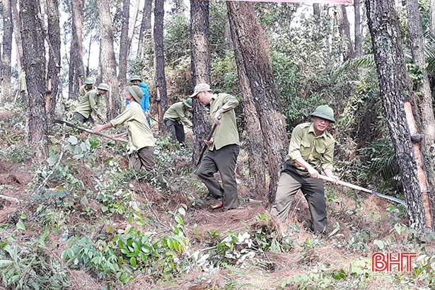 Vũ Quang ra quân phát dọn đường băng cản lửa phòng chống cháy rừng
