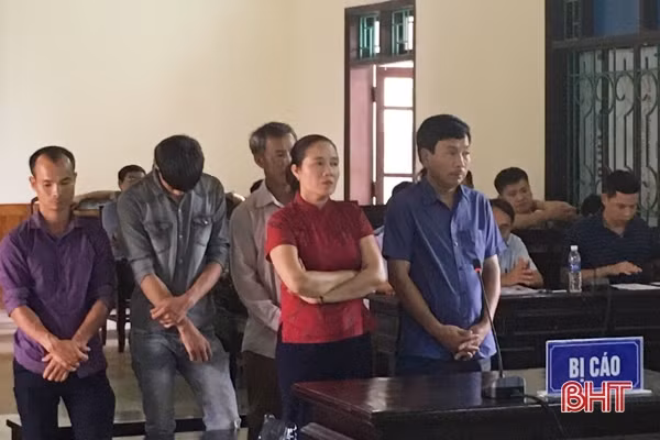 Ngang nhiên thuê người chặt phá rừng, chồng “bóc lịch”, vợ hưởng án treo