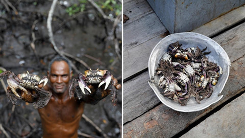 Cư dân rừng ngập mặn Brazil đương đầu với biến đổi khí hậu ảnh 3 Cư dân rừng ngập mặn Brazil đương đầu với biến đổi khí hậu