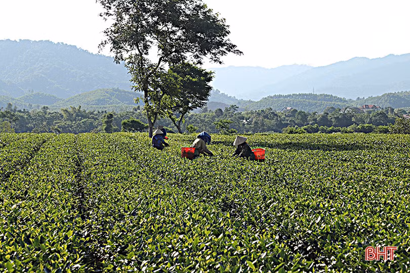 Du lịch sinh thái cộng đồng ở xã vùng biên Hà Tĩnh