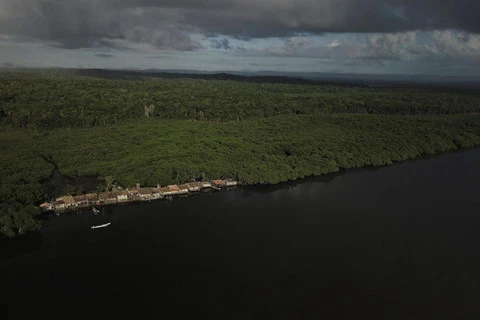 Cư dân rừng ngập mặn Brazil đương đầu với biến đổi khí hậu