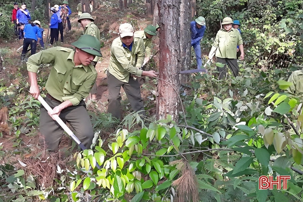 Vũ Quang ra quân phát dọn đường băng cản lửa phòng chống cháy rừng