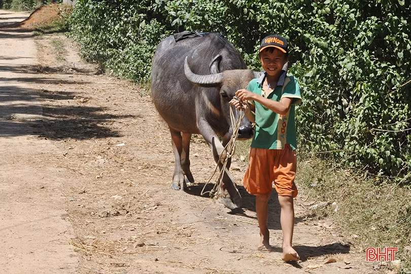Ngày hè của trẻ em nông thôn Hà Tĩnh