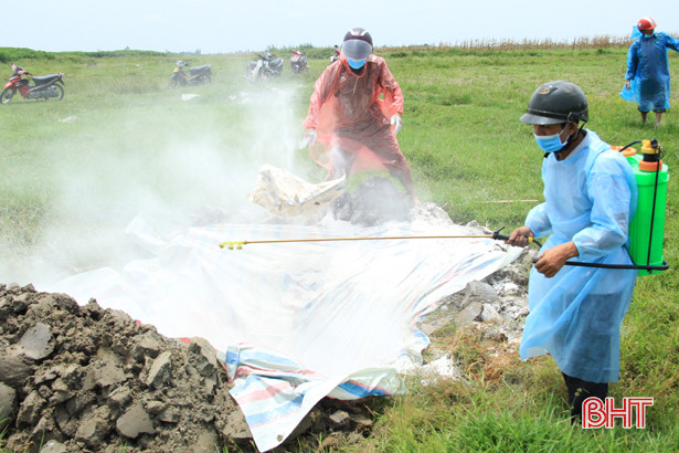 Tiêu hủy 5 con lợn ốm từ Nghệ An sang Hà Tĩnh tiêu thụ