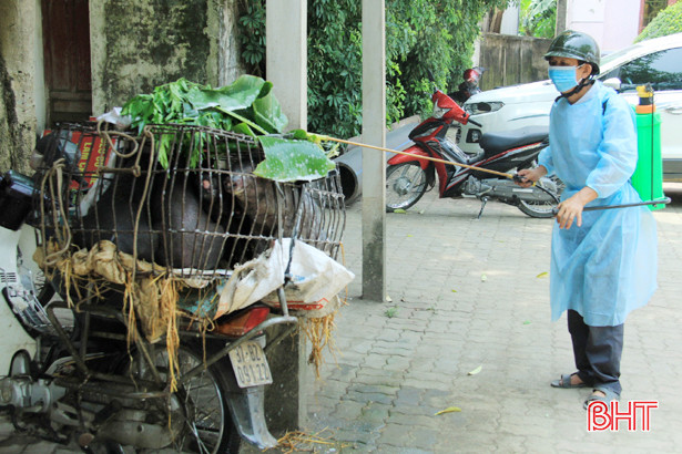 Tiêu hủy 5 con lợn ốm từ Nghệ An sang Hà Tĩnh tiêu thụ
