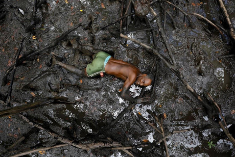 Cư dân rừng ngập mặn Brazil đương đầu với biến đổi khí hậu ảnh 1 Cư dân rừng ngập mặn Brazil đương đầu với biến đổi khí hậu