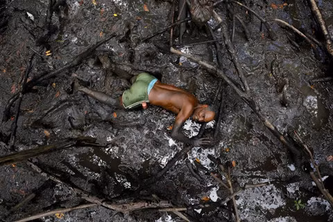 Cư dân rừng ngập mặn Brazil đương đầu với biến đổi khí hậu