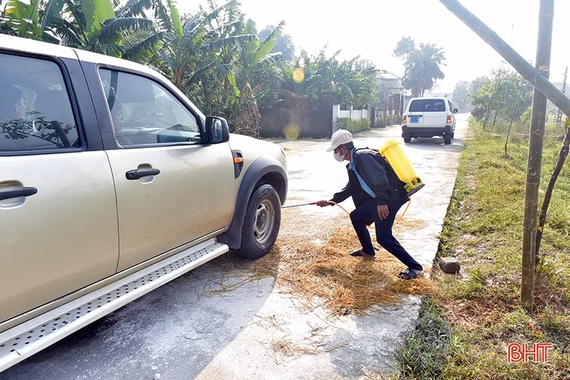 Đồng loạt tiêu độc, khử trùng ngăn dịch tả lợn châu Phi