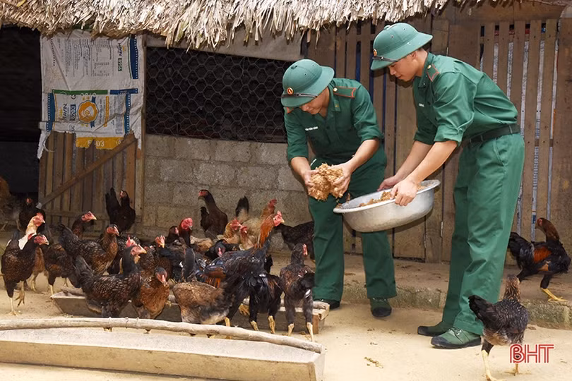 Các đơn vị biên phòng chủ động tăng gia phục vụ bộ đội ăn tết