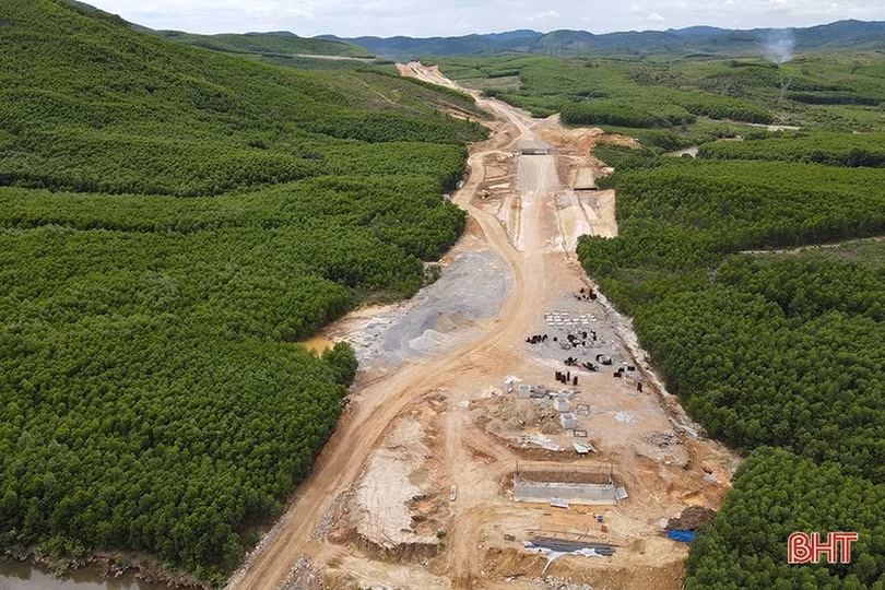 Giải bài toán trồng thay thế 57,42 ha rừng ảnh hưởng thi công cao tốc Bắc - Nam