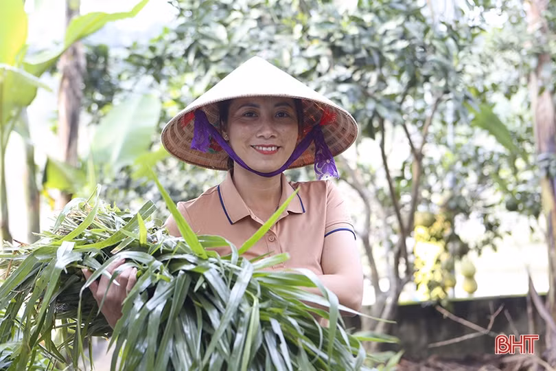 Hội viên phụ nữ Hương Sơn làm giàu từ mô hình kinh tế vườn - chuồng