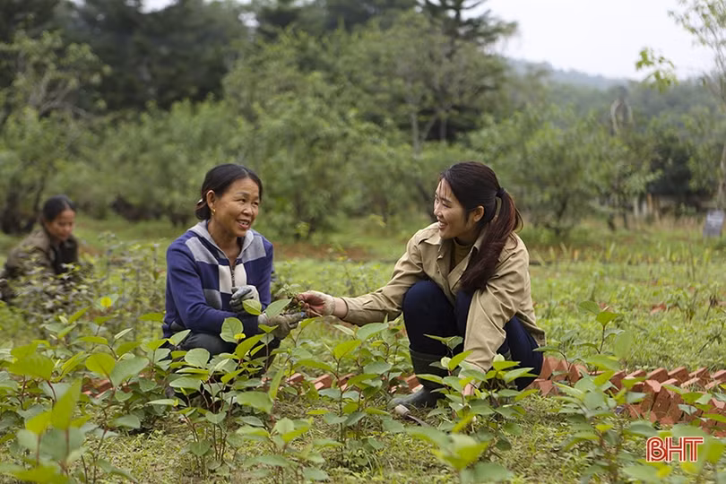 Hải Thượng Lãn Ông Lê Hữu Trác trong tâm thức người Hà Tĩnh