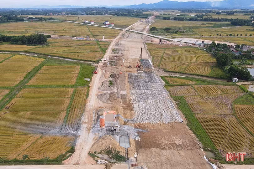 Giải bài toán trồng thay thế 57,42 ha rừng ảnh hưởng thi công cao tốc Bắc - Nam