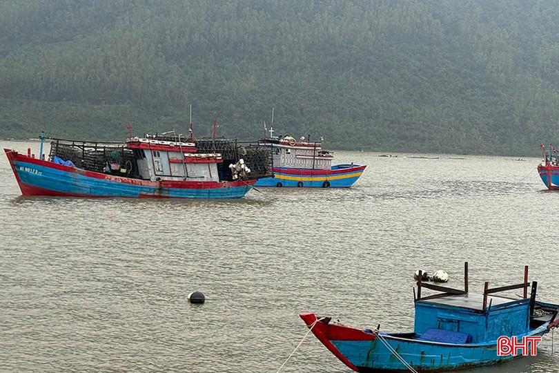 Những con tàu có công suất lớn phải neo đậu ngoài xa. bqbht_br_d-4859.jpg