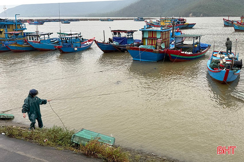 Ngư dân chật vật tìm chỗ neo đậu tàu thuyền. bqbht_br_a-2137.jpg