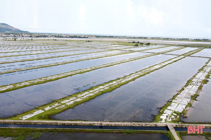 Hàng chục ha đất muối ở xã Kỳ Hà, thị xã Kỳ Anh bị bỏ hoang bqbht_br_dt-dji-0978-copy.jpg