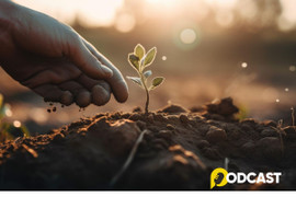 Podcast Tản văn: Mùa gieo hạt
