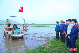 Hà Tĩnh sản xuất 150 ha lúa thâm canh cải tiến, giảm phát thải vụ xuân