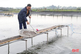 Chống rét cho thủy sản nuôi ở Hà Tĩnh