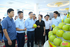 Nâng cao chất lượng công tác khuyến nông theo tư duy kinh tế nông nghiệp