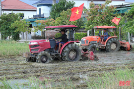 Rộn ràng mùa lúa mới