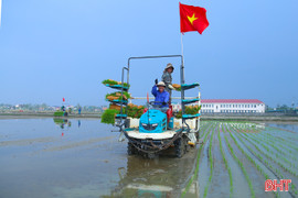 Chủ động sản xuất, tạo đột phá trong vụ xuân 2026